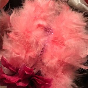 Beautiful sweet Rose